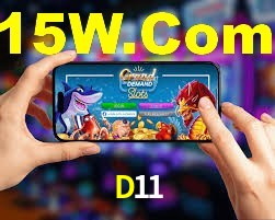 Experiência VIP D11